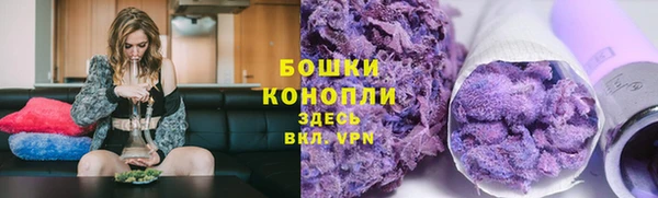 шишки Волоколамск