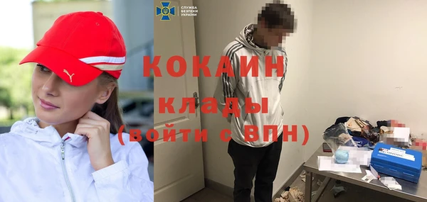 шишки Волоколамск