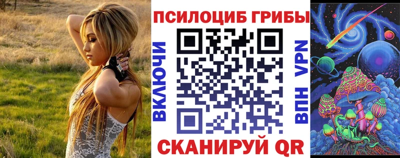 Купить  Анадырь  Галлюциногенные грибы Psilocybine cubensis 