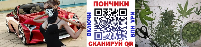 Купить где  Анадырь  МАРИХУАНА OG Kush 